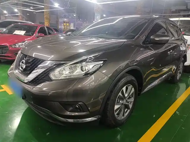 Nissan Loulan Loulan 2021 2.5l Xe 2wd Elite Edition