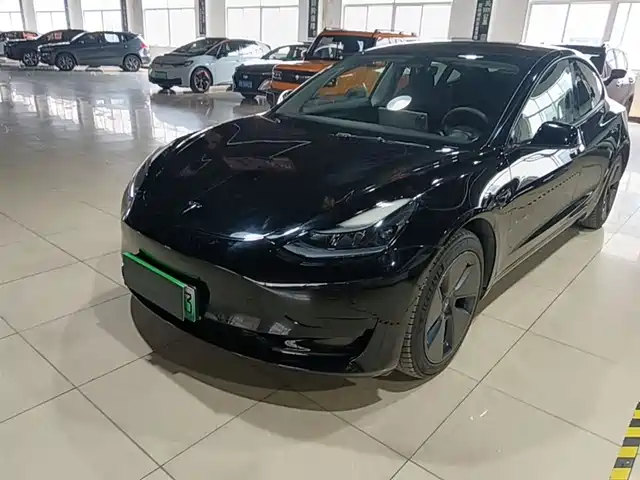 Tesla Model 3 Model 3 2022 Rear-Wheel Drive Version — фото