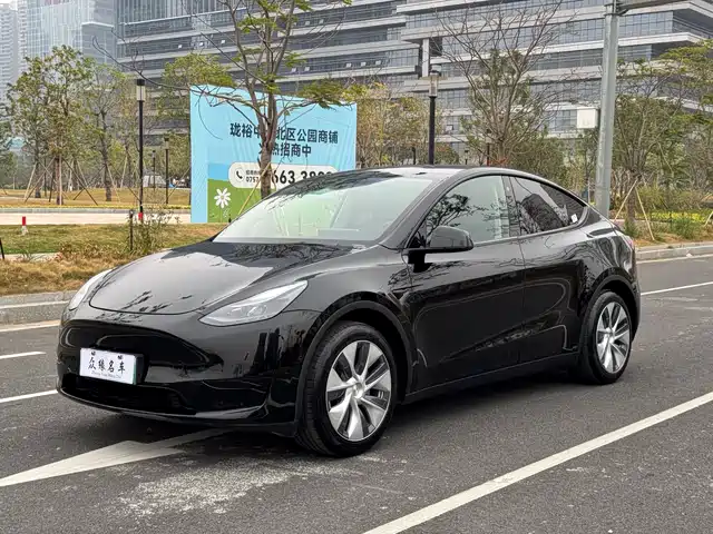Tesla Model Y Model Y 2022 Facelift Rear-Wheel Drive Version