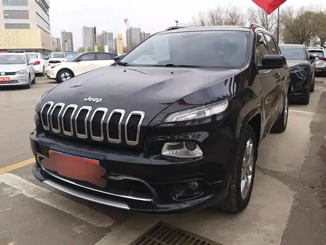 Jeep Free Light Freelight 2017 2.4l Professional Smart Edition