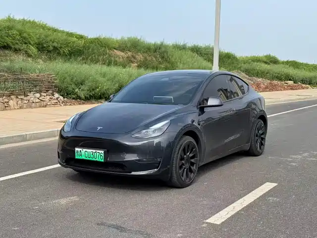 Tesla Model Y Model Y 2024 Long-Range All-Wheel Drive Version — фото