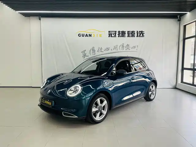 Euler Euler Good Cat Euler Good Cat 2021 Model 400km Standard Range Venus Edition Lithium Iron Phosphate — фото