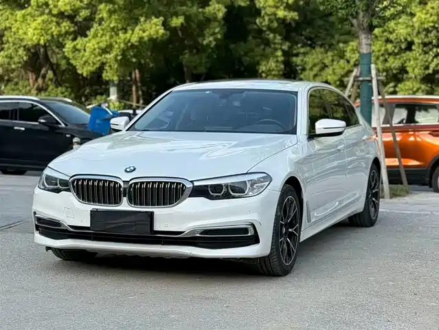 Bmw Bmw 5 Series Bmw 5 Series 2019 525li Luxury Package — фото