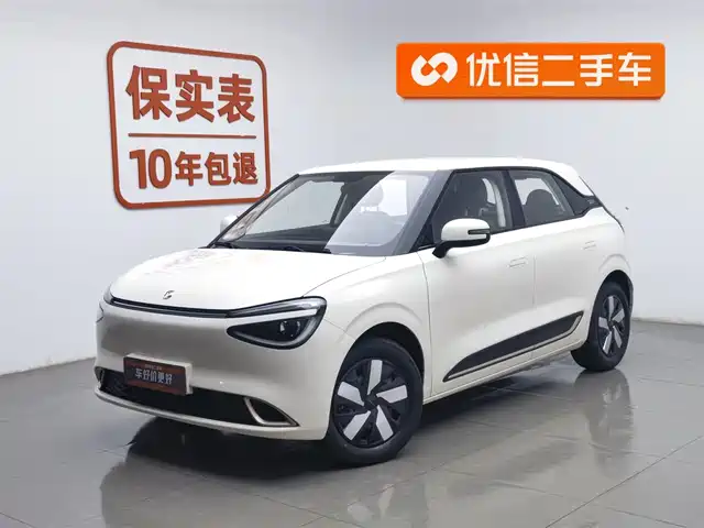 Dongfeng Nano Nano 01 Nano 01 2024 330 Air