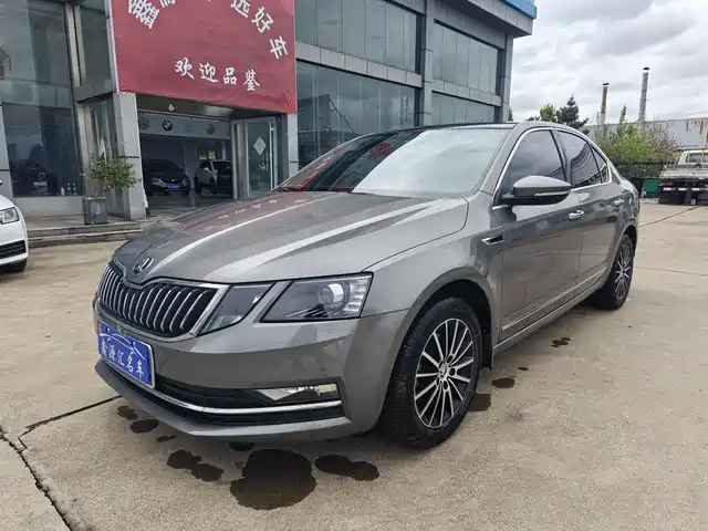 Skoda Octavia Octavia 2019 Tsi230 Dsg Deluxe Edition — фото