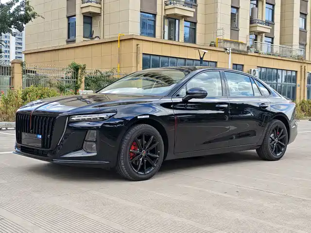 Red Flag Hongqi H5 Hongqi H5 2025 2.0t Automatic Xuanying Edition — фото
