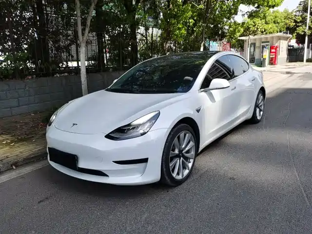 Tesla Model 3 Model 3 2019 Standard Range Rear Drive Upgraded Version — фото
