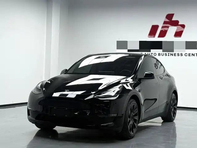 Tesla Model Y Model Y 2021 Standard Range Rear-Wheel Drive Version — фото