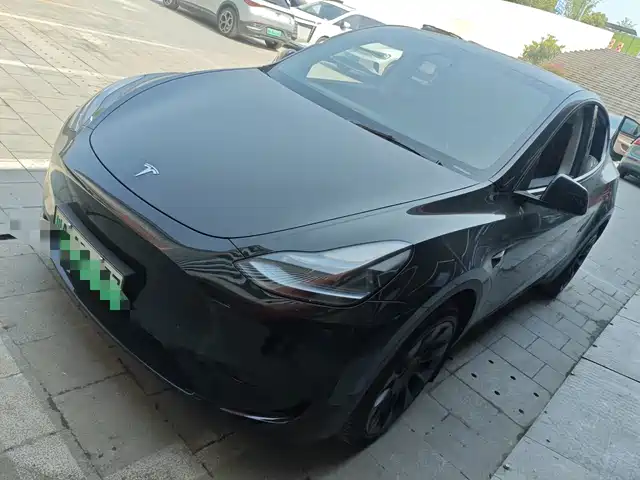 Tesla Model Y Model Y 2022 Rear-Wheel Drive Version — фото
