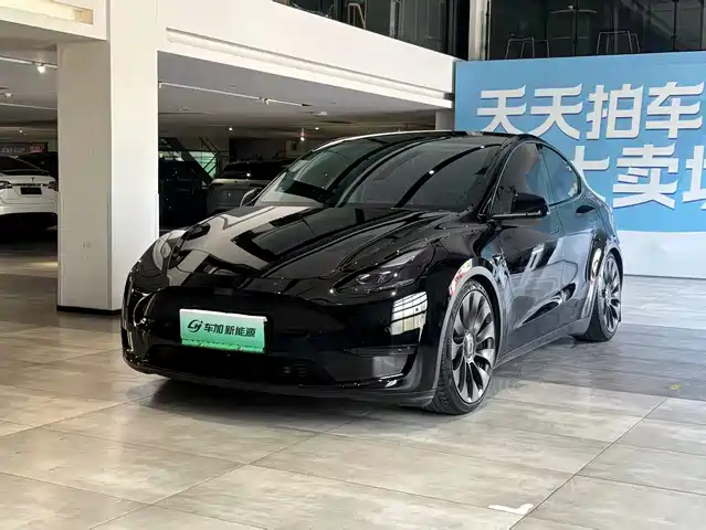 Tesla Model Y Model Y 2022 Performance High-Performance All-Wheel Drive Version — фото