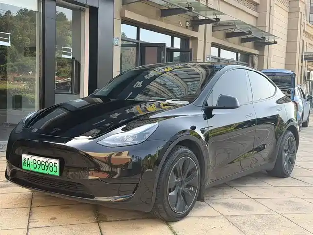 Tesla Model Y Model Y 2022 Facelift Rear-Wheel Drive Version — фото