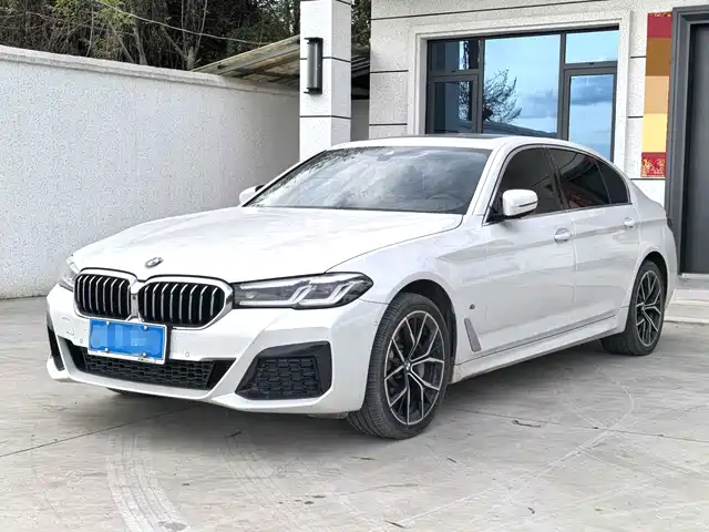 Bmw Bmw 5 Series Bmw 530li/2.0t/24 Models/Exclusive Luxury Package — фото