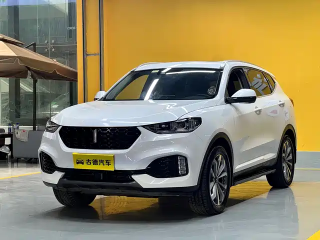 Wei Brand Wei Brand Vv6 Wei Brand Vv6 2018 2.0t Two-Wheel Drive Super Luxury Model, National V