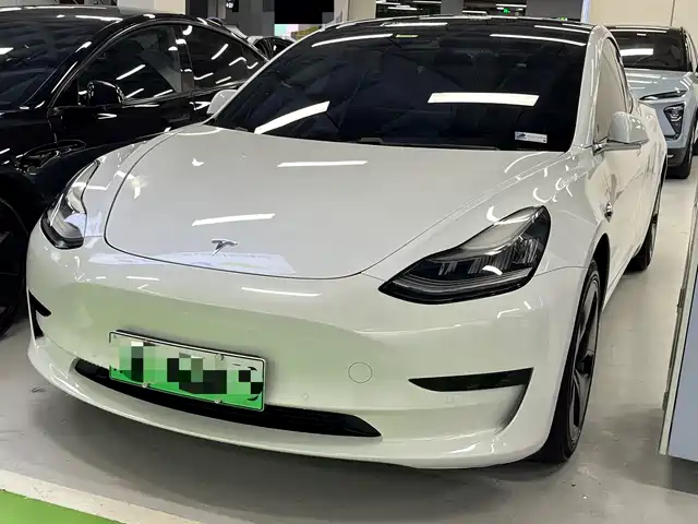 Tesla Model 3 Model 3 2020 Standard Range Rear Drive Upgraded Version