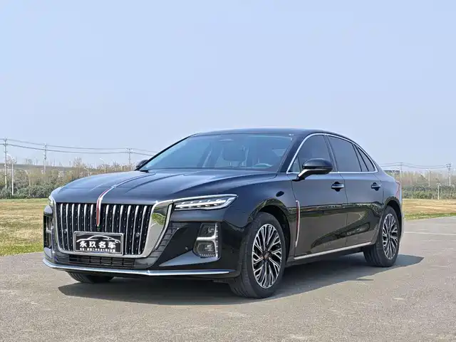 Red Flag Hongqi H5 Hongqi H5 2024 2.0t Automatic Zhilianqichang Edition — фото