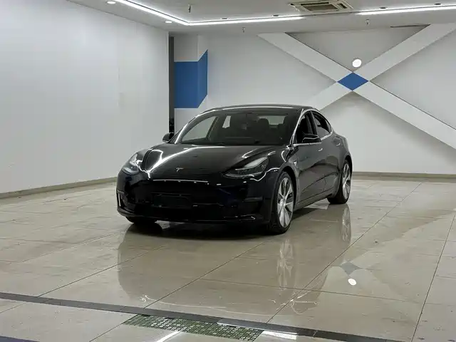 Tesla Model 3 (imported) Model 3 Imported 2019 Performance High-Performance All-Wheel Drive Version — фото