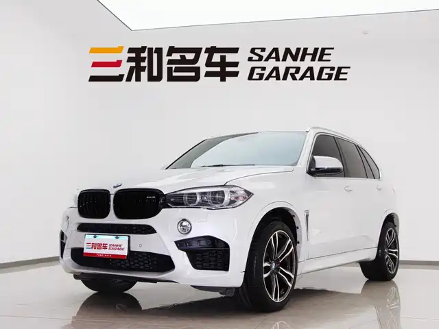 Bmw Bmw X5 (Imported) Bmw X5 Imported 2014 Xdrive35i Leading Model — фото
