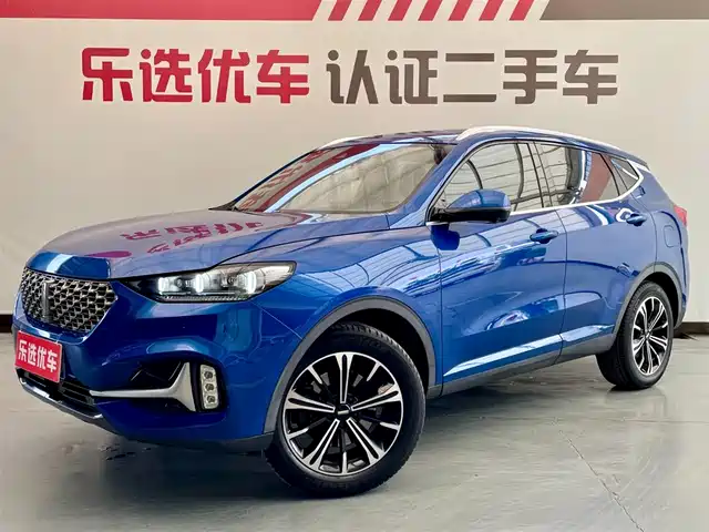 Wei Brand Wei Brand Vv6 Weipai Vv6 2021 2.0t 2wd Smart Enjoy+