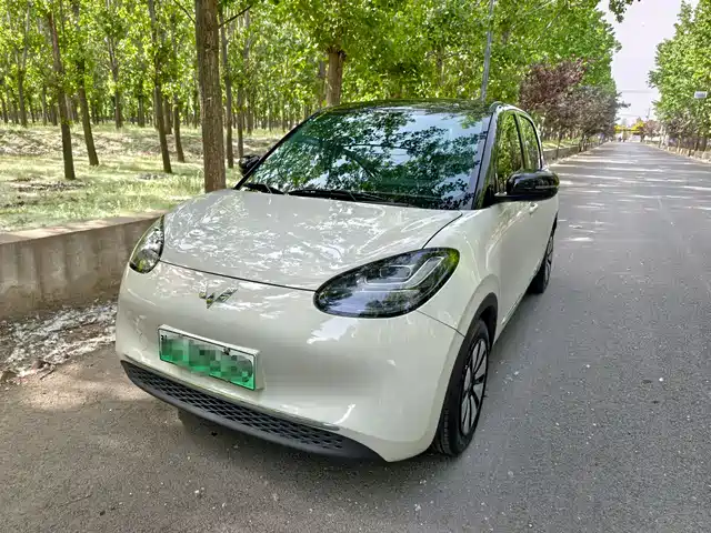 Wuling Motors Wuling Bingo Wuling Bingo 2023 Model 203km Comfortable Model — фото