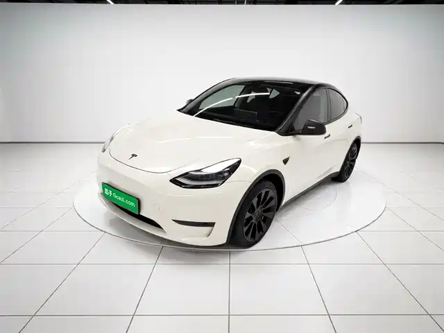 Tesla Model Y Model Y 2021 Standard Range Rear-Wheel Drive Version — фото