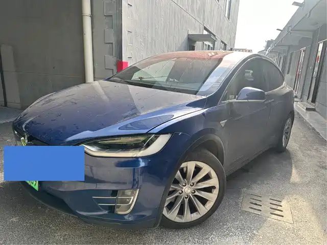 Tesla Model X Model X 2017 Model X 100d Long Range Edition — фото