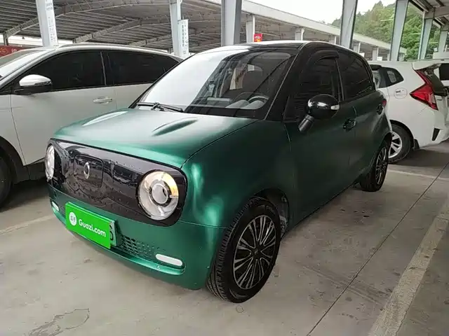 Euler Euler Black Cat Euler Black Cat 2021 301km Basic Model