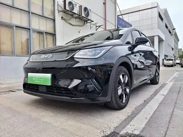 Byd Dolphin Dolphin 2025 Smart Driving Version 410km Fashion Version — фото