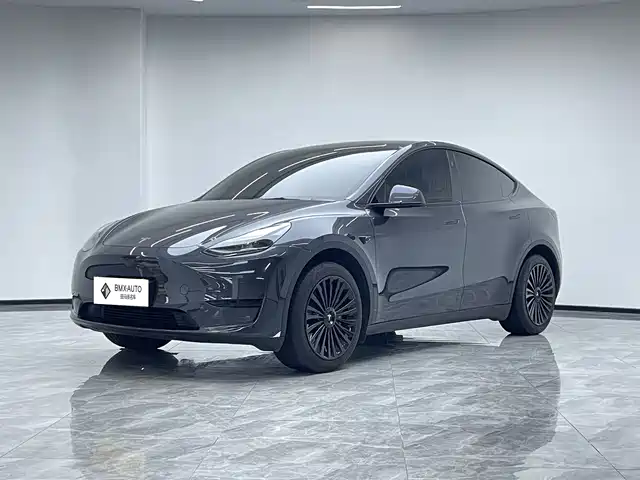 Tesla Model Y Model Y 2024 Rear-Wheel Drive Version — фото