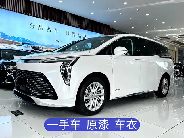 Buick Century Century 2025 2.0t Seven-Seat Yuanshi Edition — фото