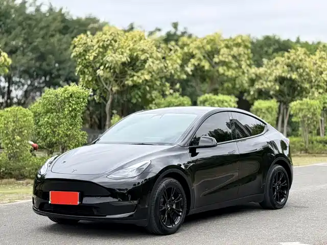 Tesla Model Y Model Y 2021 Standard Range Rear-Wheel Drive Version — фото