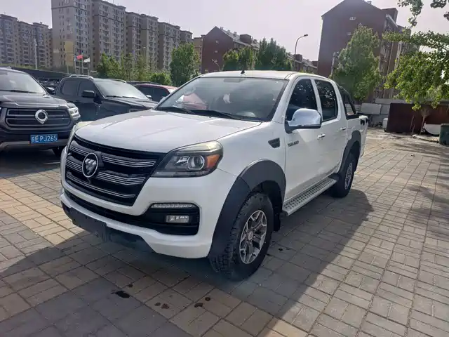 Futian pioneer — фото