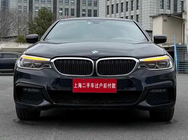 Bmw Bmw 5 Series Bmw 5 Series 2019 530li Exclusive M Sports Package