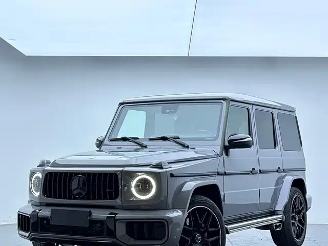 Mercedes-Benz Mercedes-Benz G-Class Amg Mercedes-Benz G-Class Amg 2013 Amg G 63