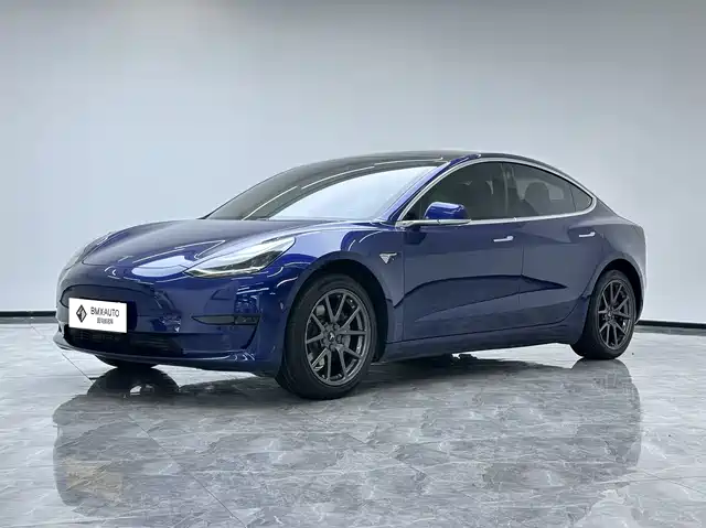 Tesla Model 3 Model 3 2020 Standard Range Rear Drive Upgraded Version