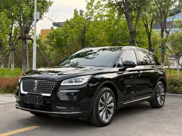 Lincoln Adventurer Adventurer 2020 2.0t Four-Wheel Drive Premium Version — фото