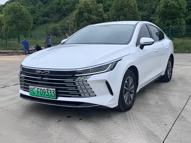 Byd Destroyer 05 Destroyer 05 2024 Honor Edition Dm-I 55km Luxury Type