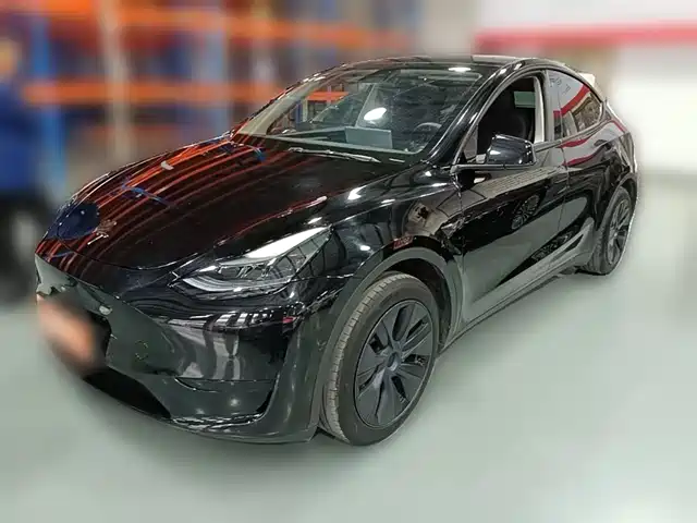 Tesla Model Y Model Y 2023 Rear-Wheel Drive Version — фото
