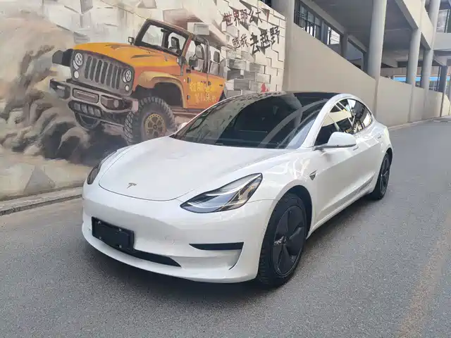 Tesla Model 3 Model 3 2019 Standard Range Rear Drive Upgraded Version — фото