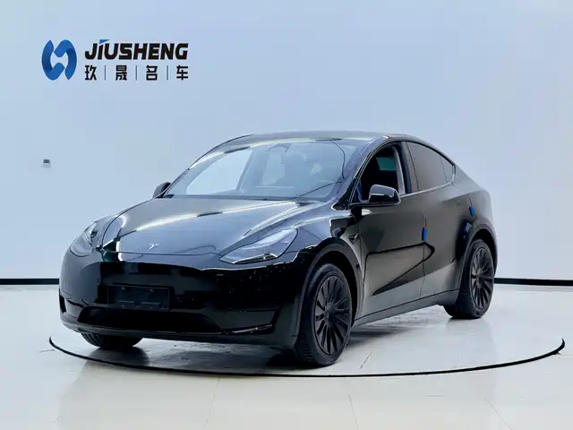 Tesla Model Y Model Y 2022 Rear-Wheel Drive Version