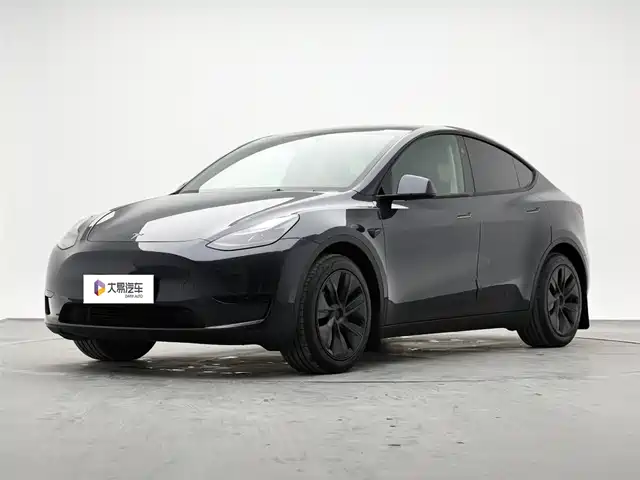 Tesla Model Y Model Y 2024 Rear-Wheel Drive Version — фото