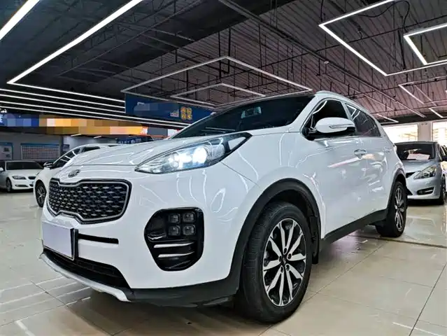 Kia Kia Kx5 Kia Kx5 2017 1.6t Automatic Two-Wheel Drive 15th Anniversary Special Edition Dlx