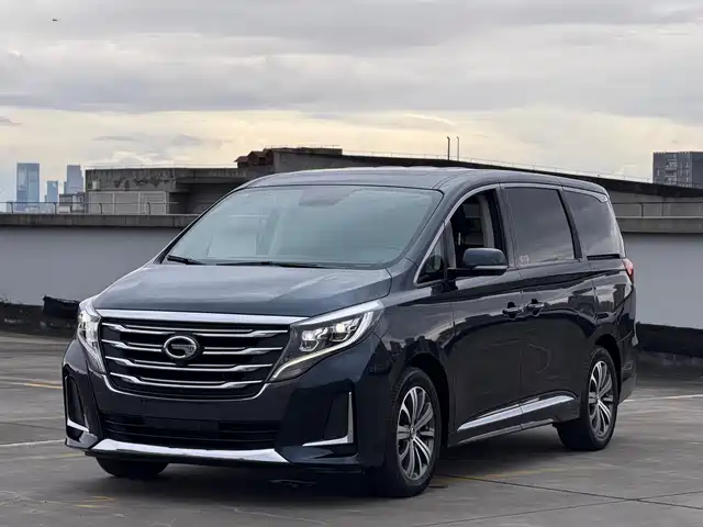 Gac Trumpchi Trumpchi M8 Trumpchi M8 2020 Pilot Model 390t Premium Edition — фото