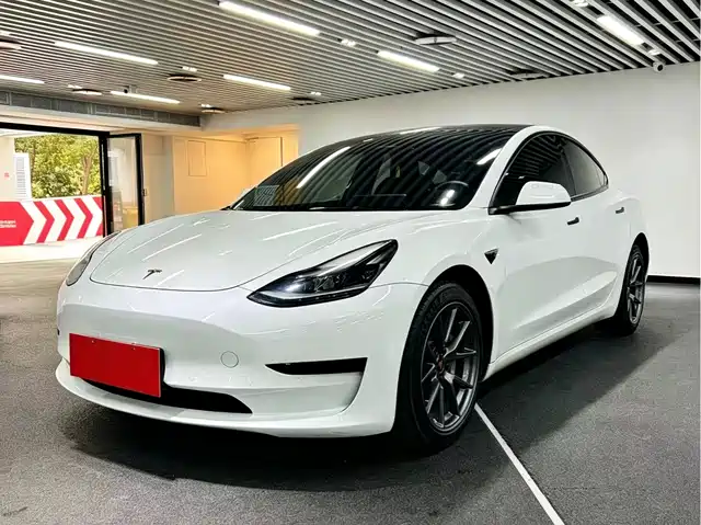 Tesla Model 3 Model 3 2022 Rear-Wheel Drive Version — фото