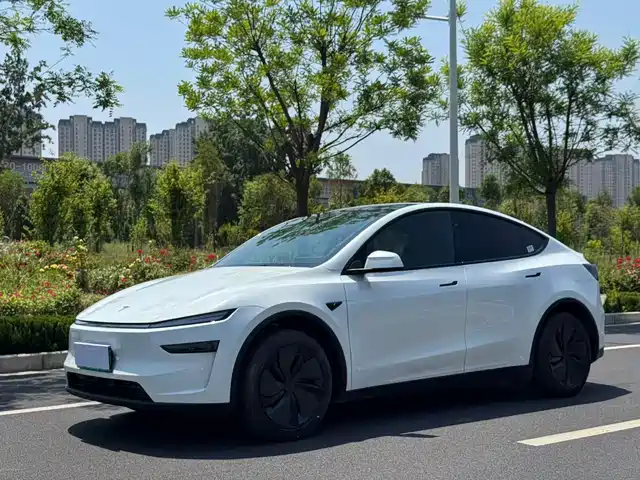 Tesla Model Y Model Y 2025 Rear-Wheel Drive Version — фото