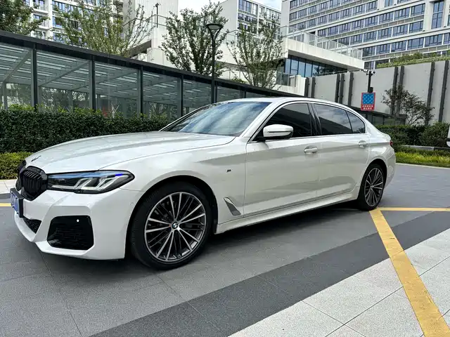 Bmw Bmw 5 Series Bmw 5 Series 2020 530li Exclusive M Sports Package — фото