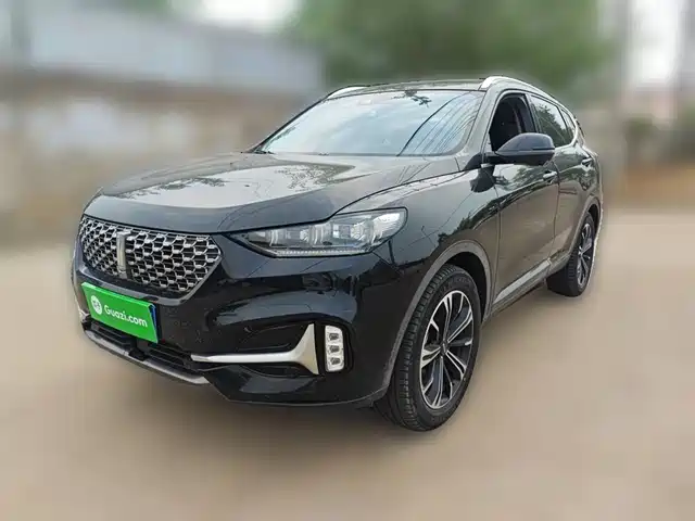 Wei Brand Wei Brand Vv6 Weipai Vv6 2021 2.0t 2wd Intelligent Protection+