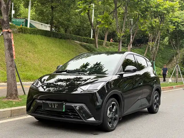 Byd Seagull Seagull 2024 Honor Edition 405km Flying Edition