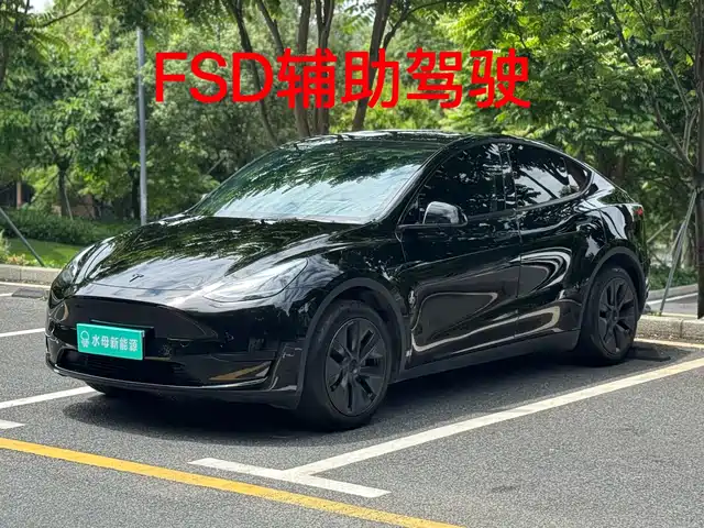 Tesla Model Y Model Y 2024 Rear-Wheel Drive Version — фото