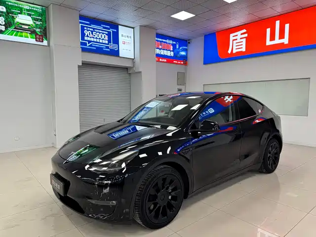 Tesla Model Y Model Y 2021 Long-Range All-Wheel Drive Version