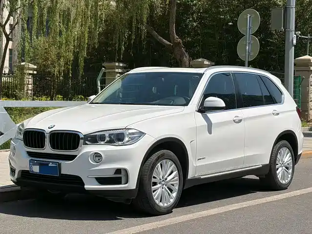 Bmw Bmw X5 (Imported) Bmw X5 Imported 2014 Xdrive35i Leading Model — фото